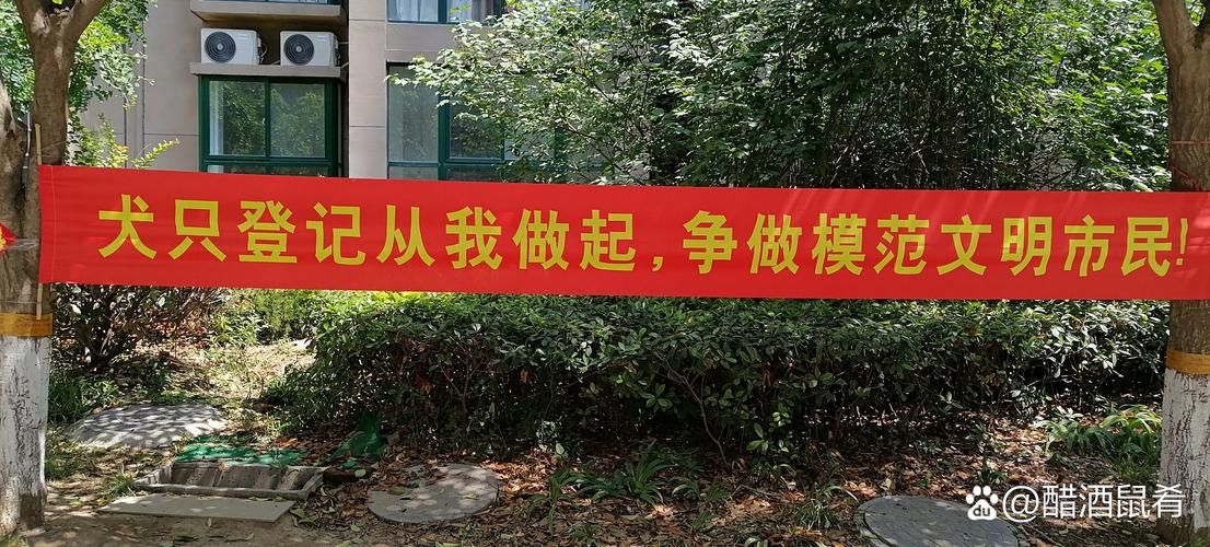金鑫龙腾汽车园